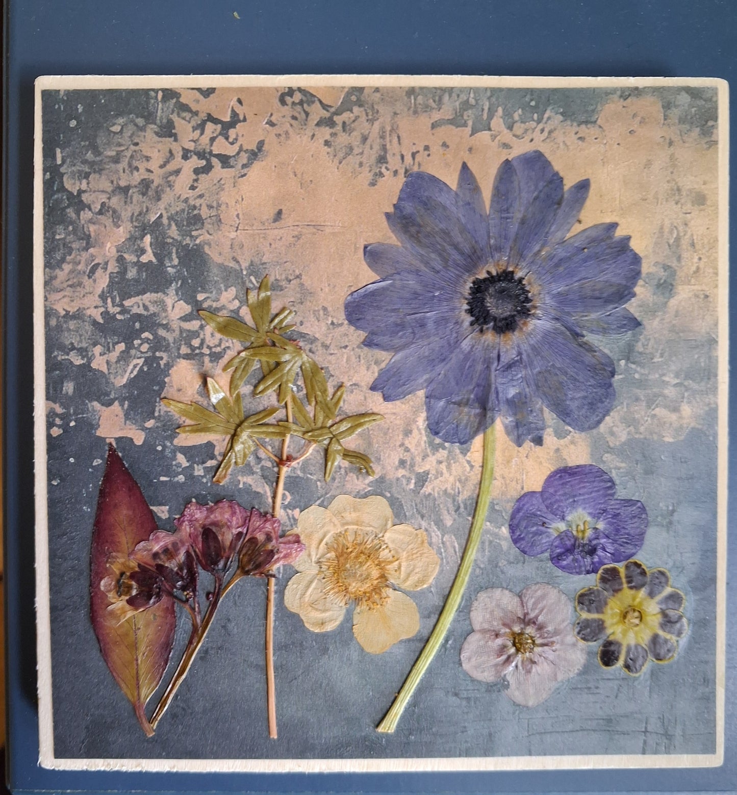 Square picture with blue anemone